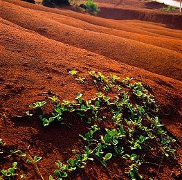 《使命召唤：先锋》泄露：《战区》Verdansk替代地图及可破坏场景